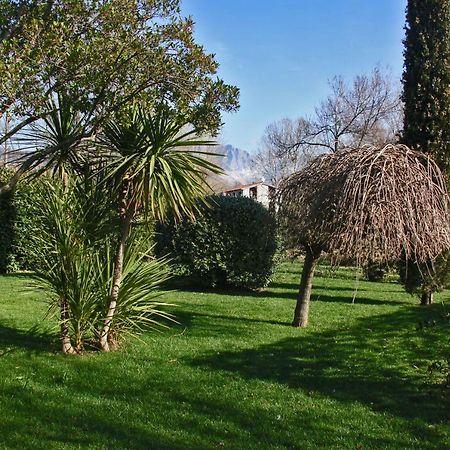 Macchia Home Marina Di Carrara Εξωτερικό φωτογραφία