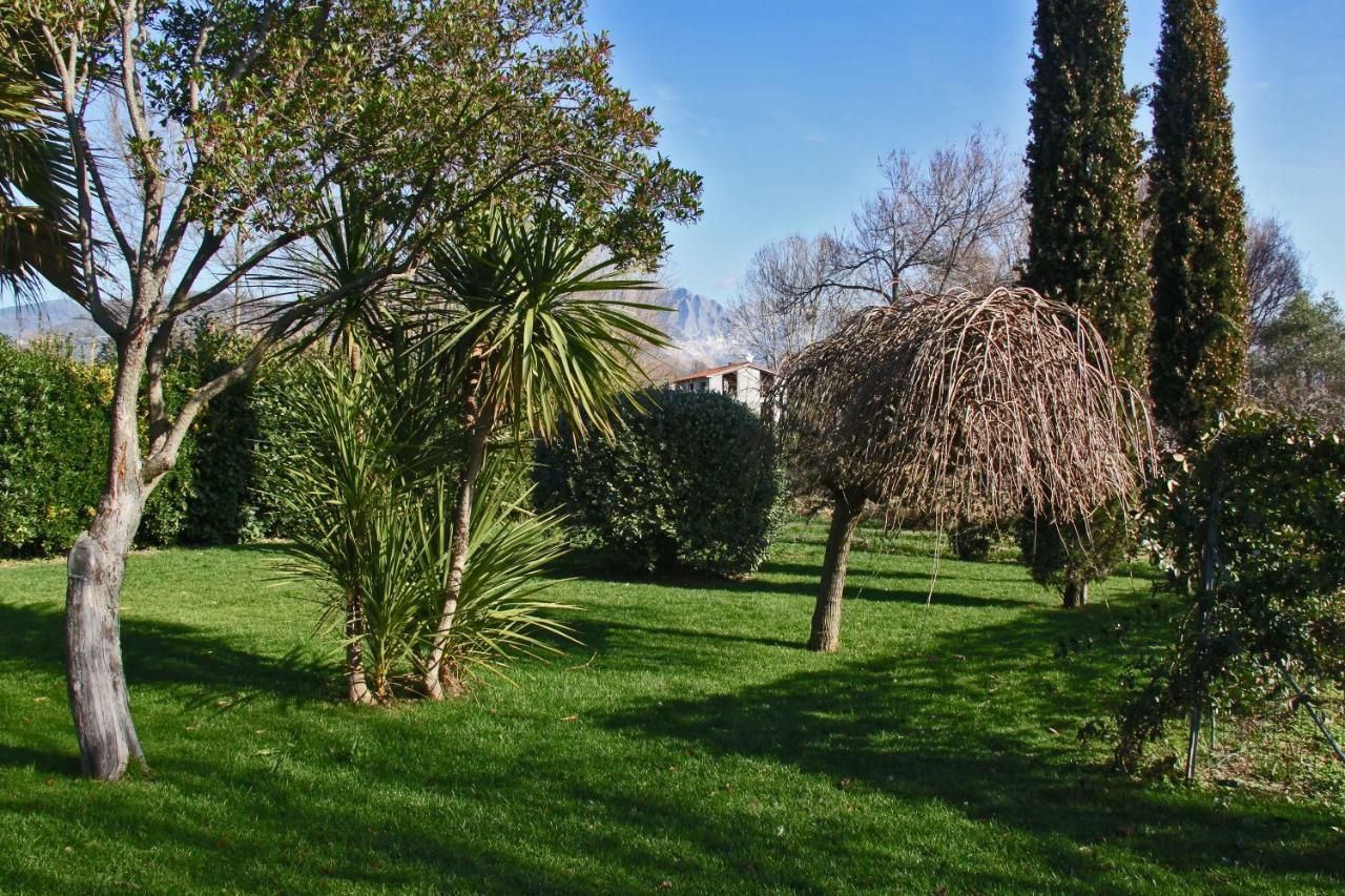 Macchia Home Marina Di Carrara Εξωτερικό φωτογραφία
